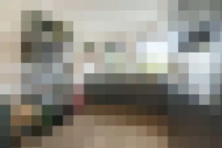 Frans Halshage 41 Nieuwegein thumbnail 10