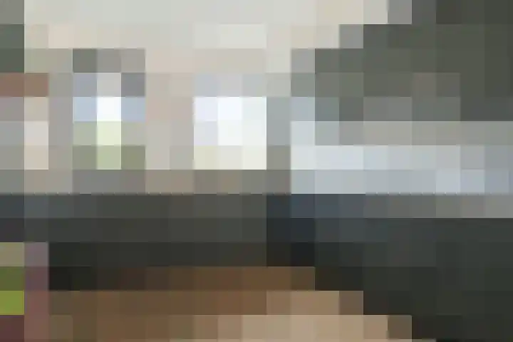 Frans Halshage 41 Nieuwegein thumbnail 11