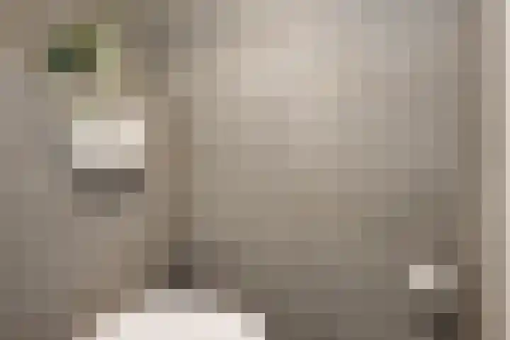 Frans Halshage 41 Nieuwegein thumbnail 14