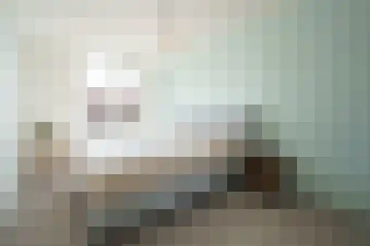 Frans Halshage 41 Nieuwegein thumbnail 15