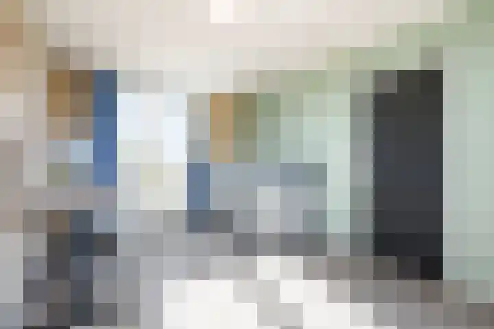 Frans Halshage 41 Nieuwegein thumbnail 20
