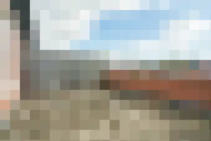Frans Halshage 41 Nieuwegein thumbnail 22