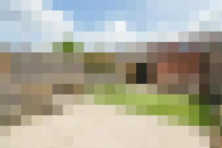 Frans Halshage 41 Nieuwegein thumbnail 24