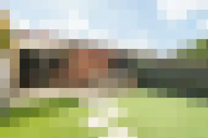 Frans Halshage 41 Nieuwegein thumbnail 25