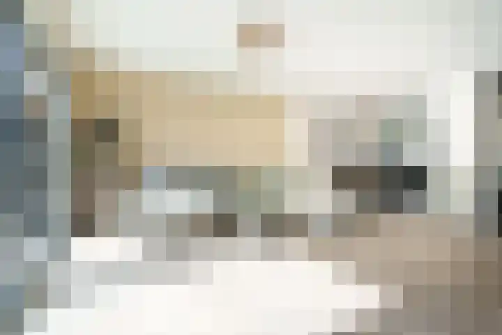 Frans Halshage 41 Nieuwegein thumbnail 7