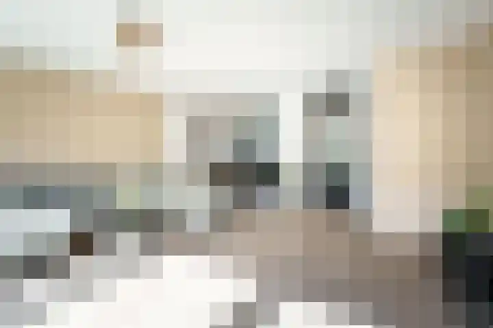 Frans Halshage 41 Nieuwegein thumbnail 8