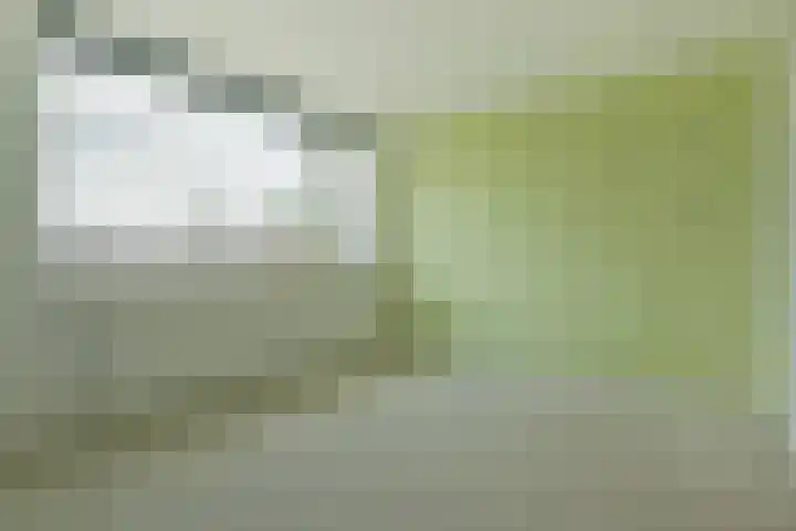 Frans Halshof 6 Nederhorst den Berg thumbnail 20