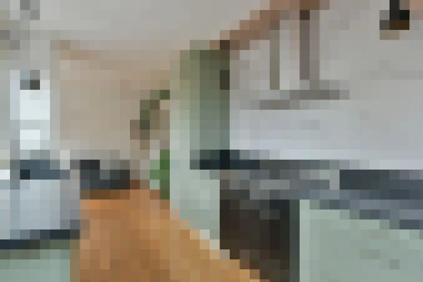 Frans Halshof 8 Nederhorst den Berg thumbnail 10