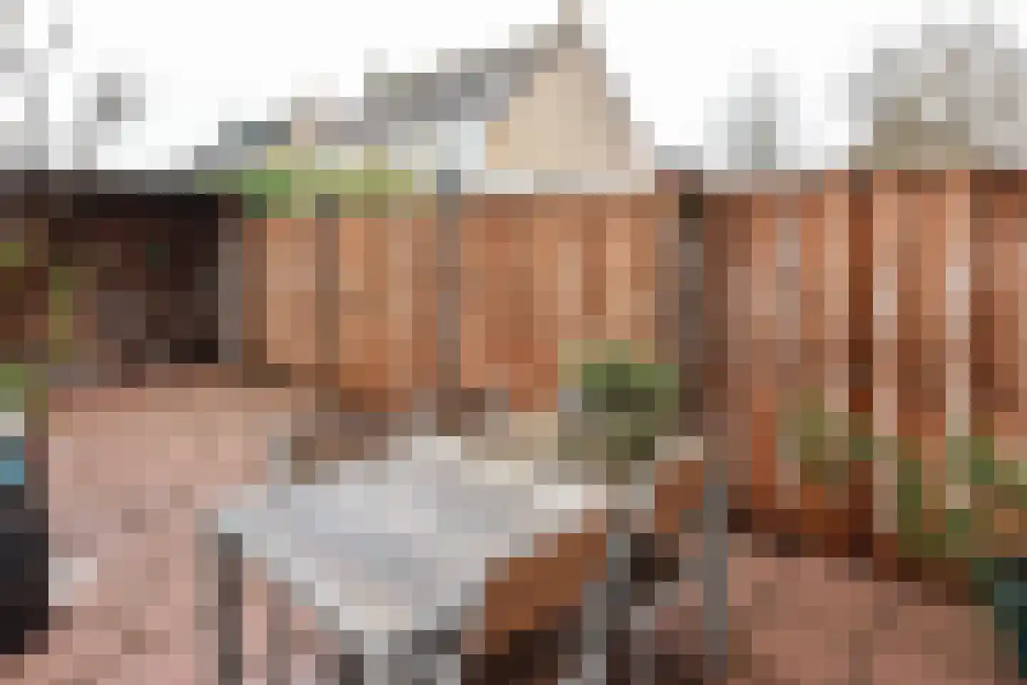 Frans Halshof 8 Nederhorst den Berg thumbnail 27
