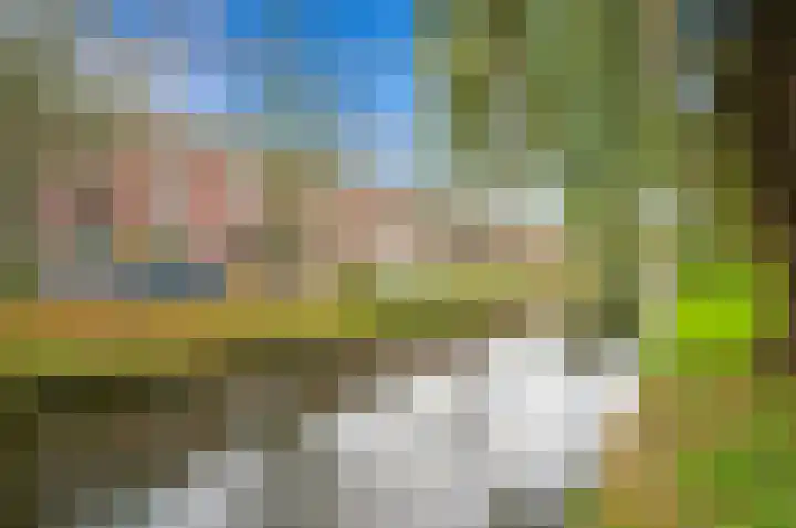 Frans Halskade 145 Rijswijk thumbnail 30