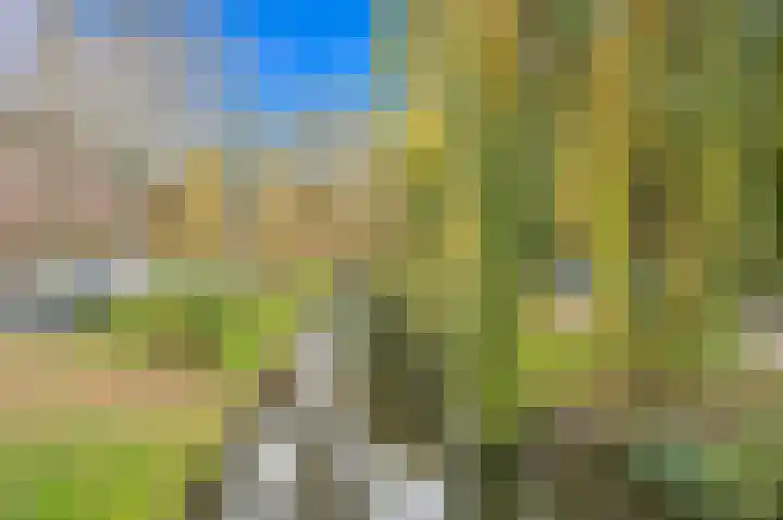 Frans Halskade 145 Rijswijk thumbnail 34