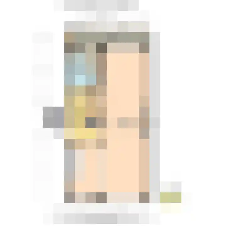 Frans Halskade 145 Rijswijk thumbnail 38