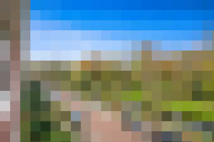 Frans Halskade 145 Rijswijk thumbnail 8