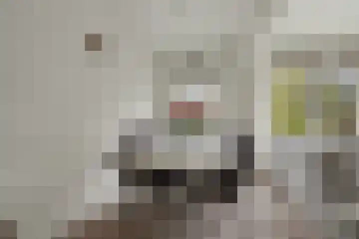 Frans Halskade 155 Rijswijk thumbnail 11