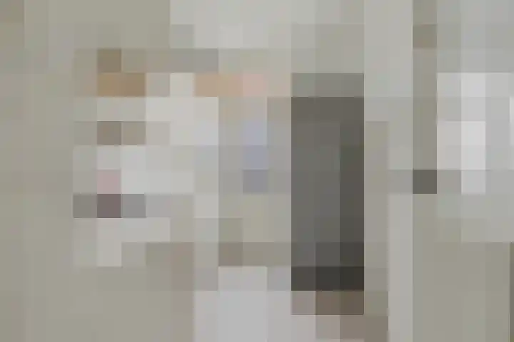 Frans Halskade 155 Rijswijk thumbnail 12