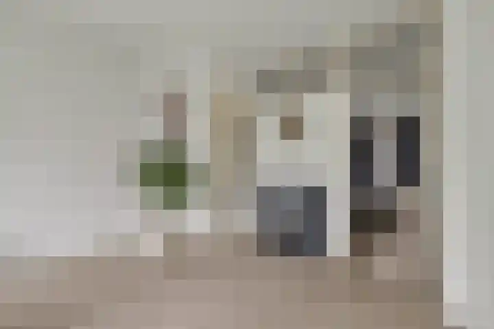 Frans Halskade 155 Rijswijk thumbnail 18