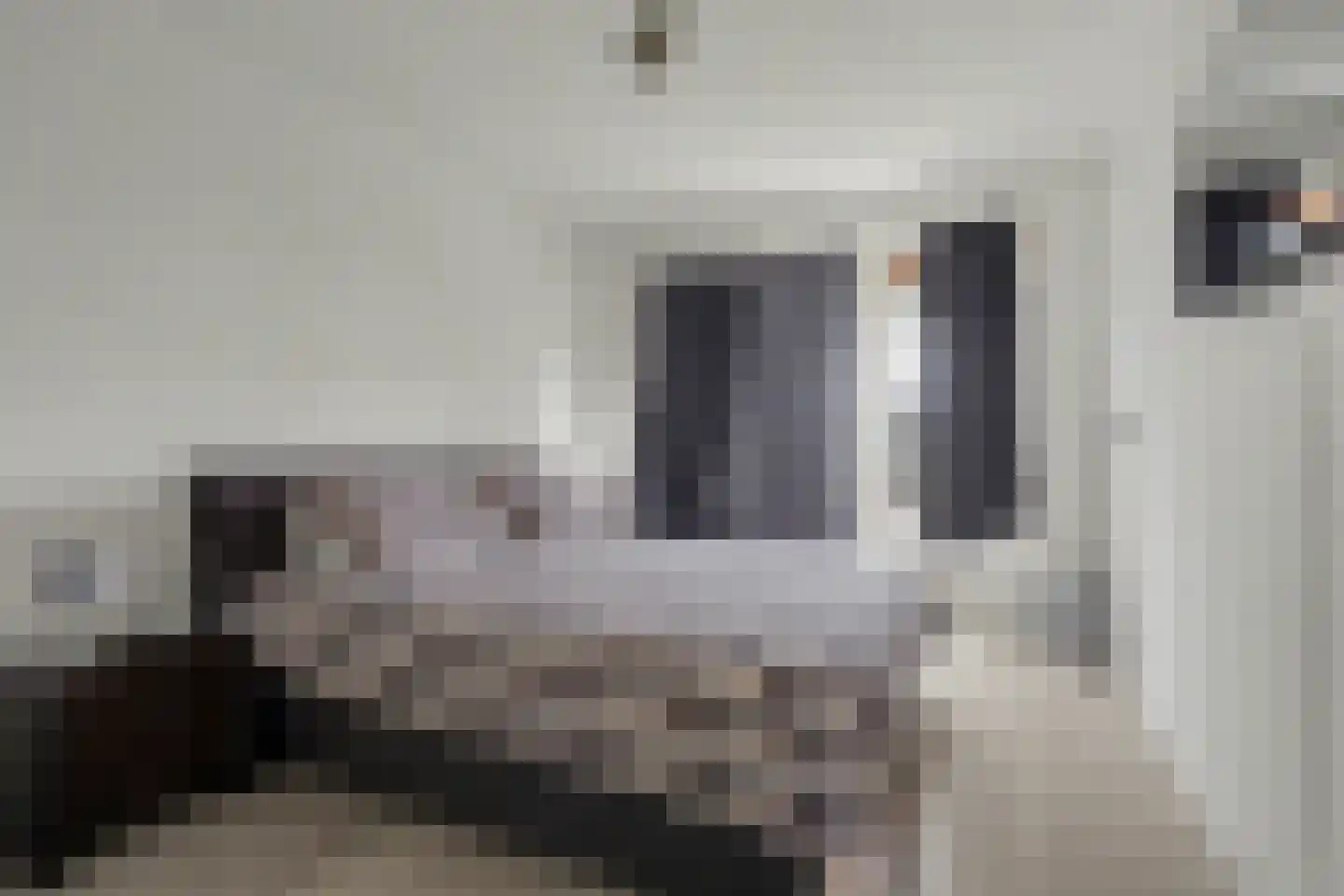 Frans Halskade 155 Rijswijk thumbnail 19