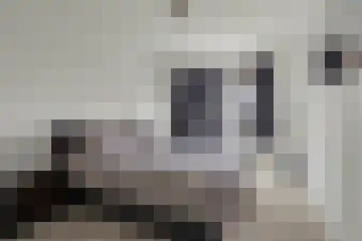 Frans Halskade 155 Rijswijk thumbnail 19