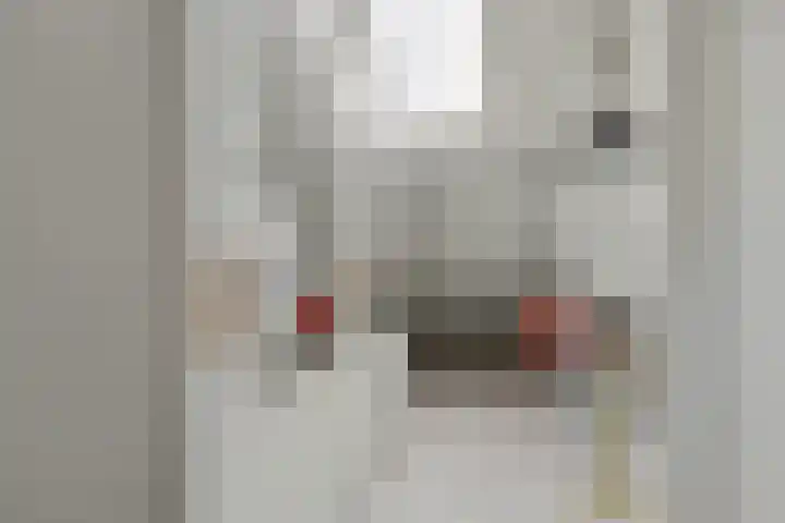 Frans Halskade 155 Rijswijk thumbnail 22