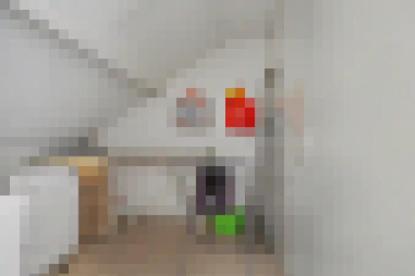 Frans Halskade 155 Rijswijk thumbnail 23