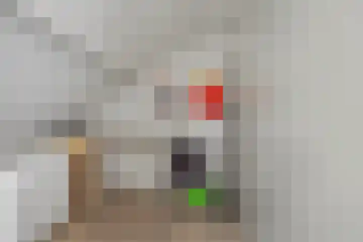 Frans Halskade 155 Rijswijk thumbnail 23