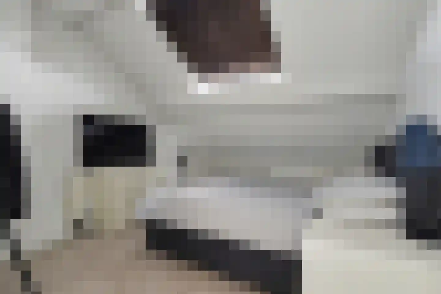 Frans Halskade 155 Rijswijk thumbnail 25