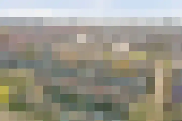 Frans Halskade 155 Rijswijk thumbnail 35