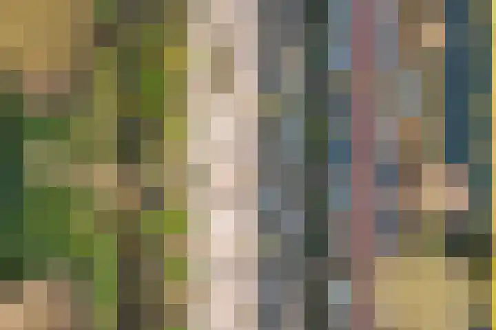 Frans Halskade 155 Rijswijk thumbnail 36