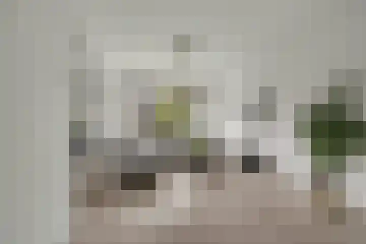 Frans Halskade 155 Rijswijk thumbnail 7