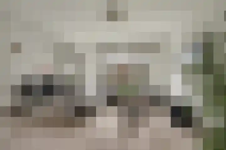 Frans Halskade 155 Rijswijk thumbnail 8