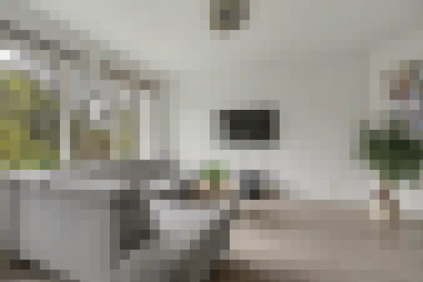 Frans Halskade 155 Rijswijk thumbnail 9