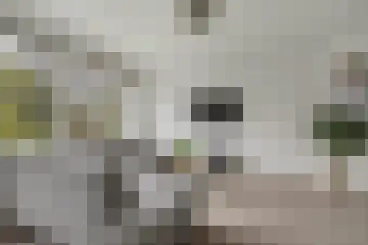 Frans Halskade 155 Rijswijk thumbnail 9