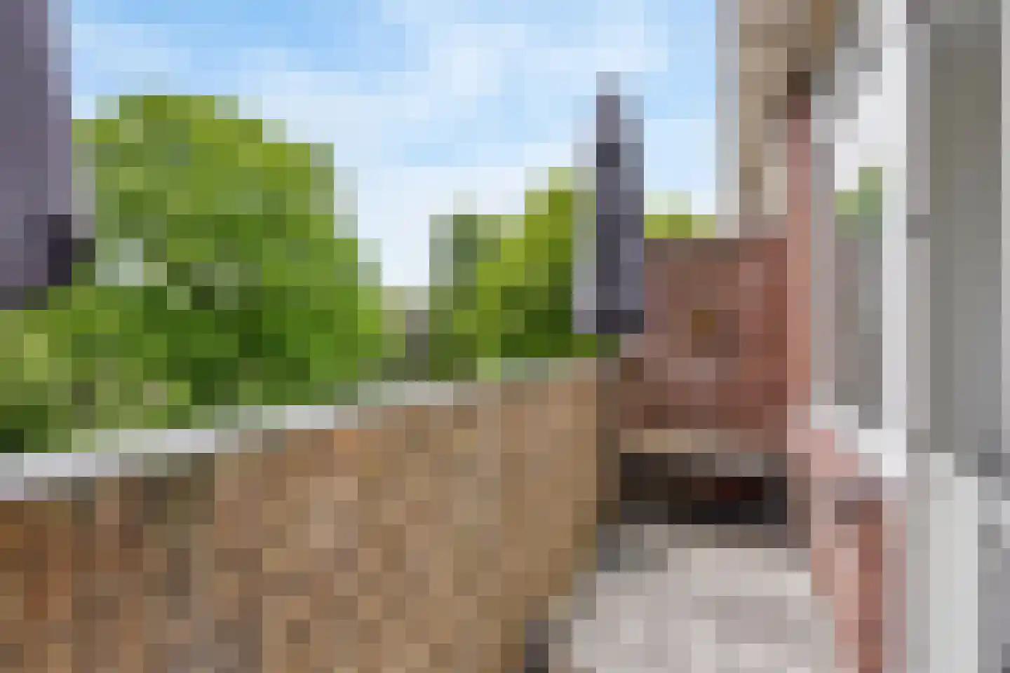 Frans Halskade 169 Rijswijk thumbnail 26