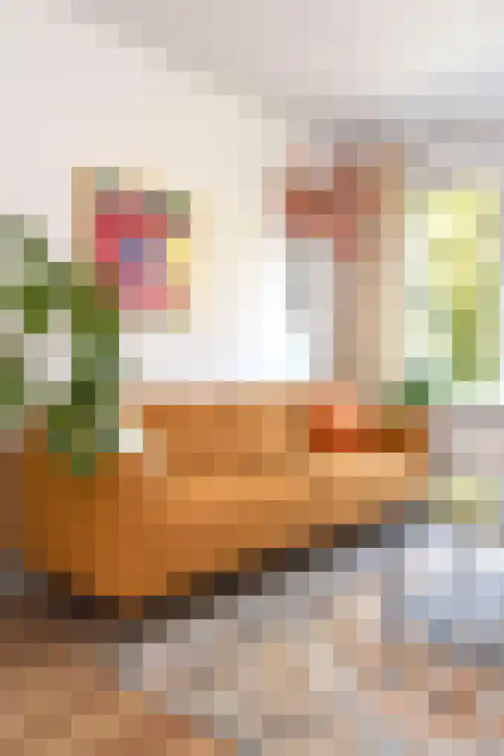 Frans Halskade 189 Rijswijk thumbnail 10