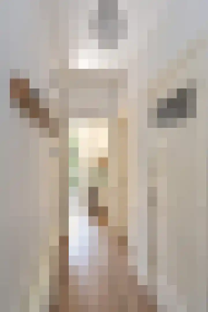 Frans Halskade 189 Rijswijk thumbnail 18