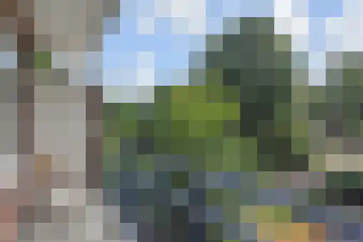 Frans Halskade 189 Rijswijk thumbnail 21