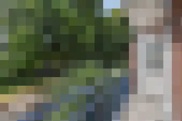 Frans Halskade 189 Rijswijk thumbnail 23