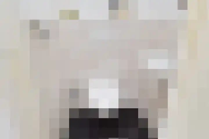 Frans Halskade 189 Rijswijk thumbnail 31