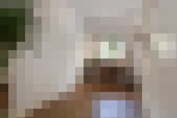 Frans Halskade 189 Rijswijk thumbnail 36