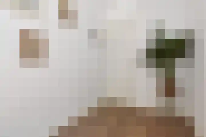 Frans Halskade 189 Rijswijk thumbnail 37