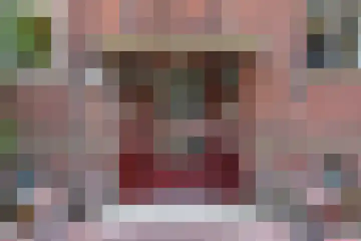 Frans Halskade 189 Rijswijk thumbnail 41