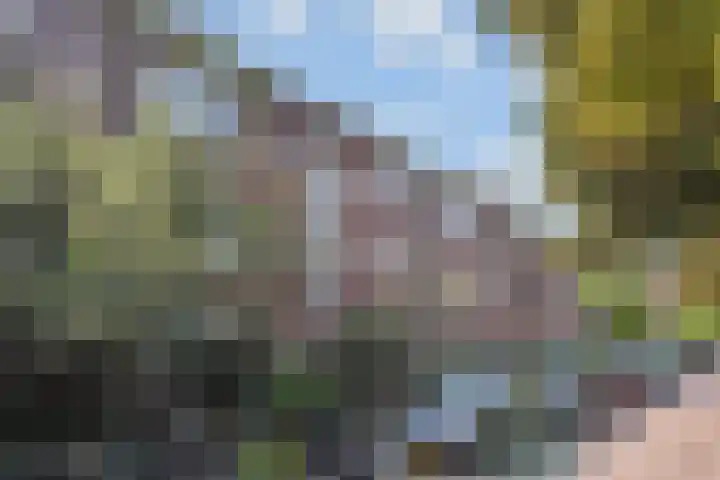 Frans Halskade 189 Rijswijk thumbnail 42