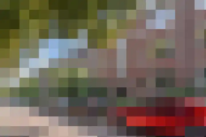 Frans Halskade 189 Rijswijk thumbnail 43