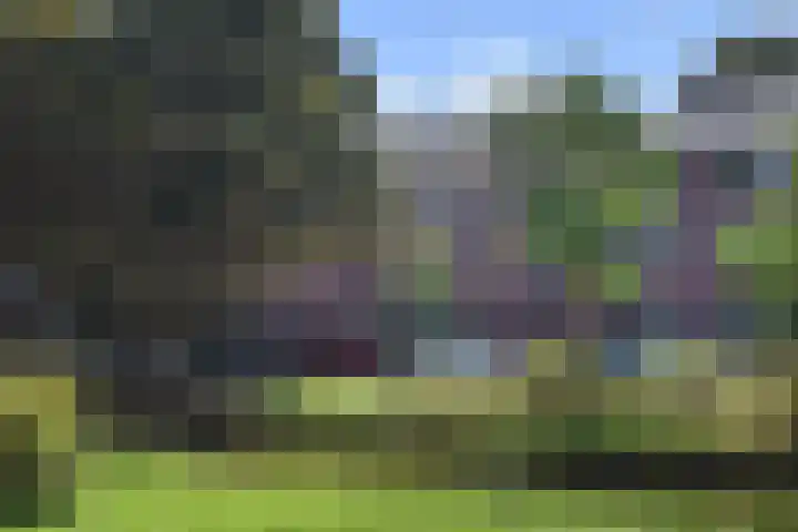 Frans Halskade 189 Rijswijk thumbnail 44
