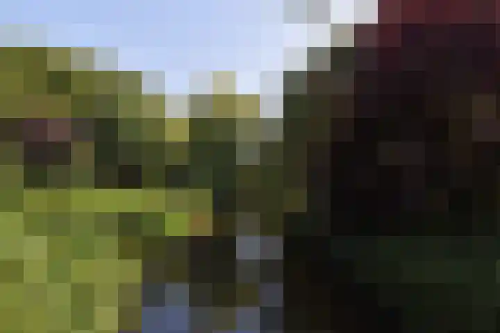Frans Halskade 189 Rijswijk thumbnail 46