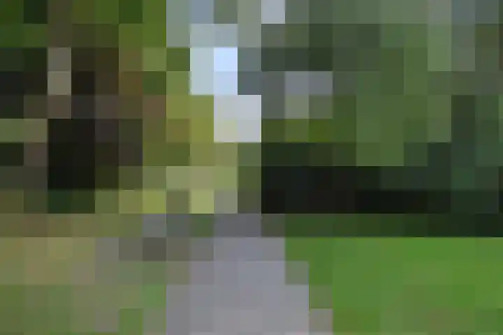 Frans Halskade 189 Rijswijk thumbnail 47