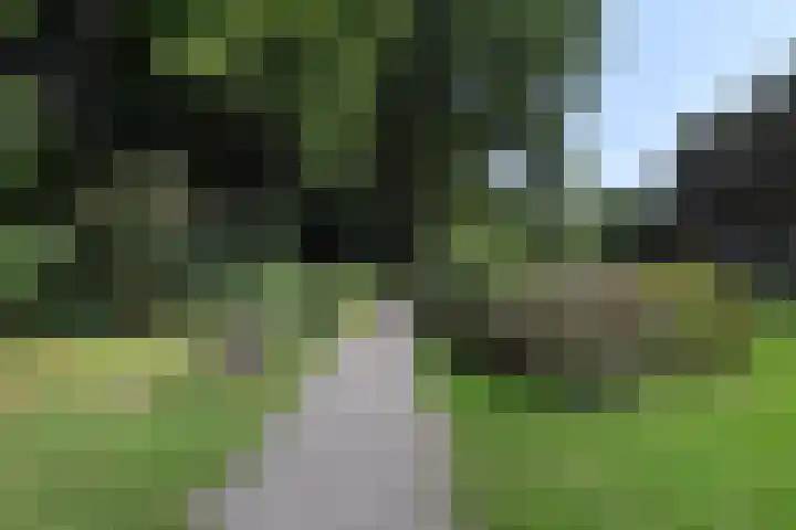 Frans Halskade 189 Rijswijk thumbnail 48