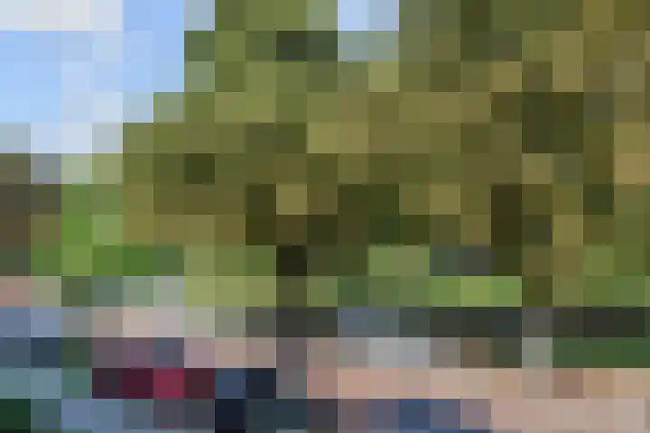 Frans Halskade 189 Rijswijk thumbnail 6