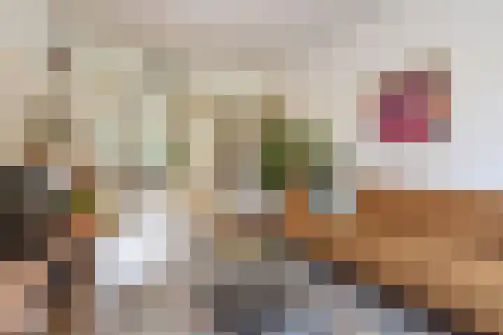 Frans Halskade 189 Rijswijk thumbnail 7