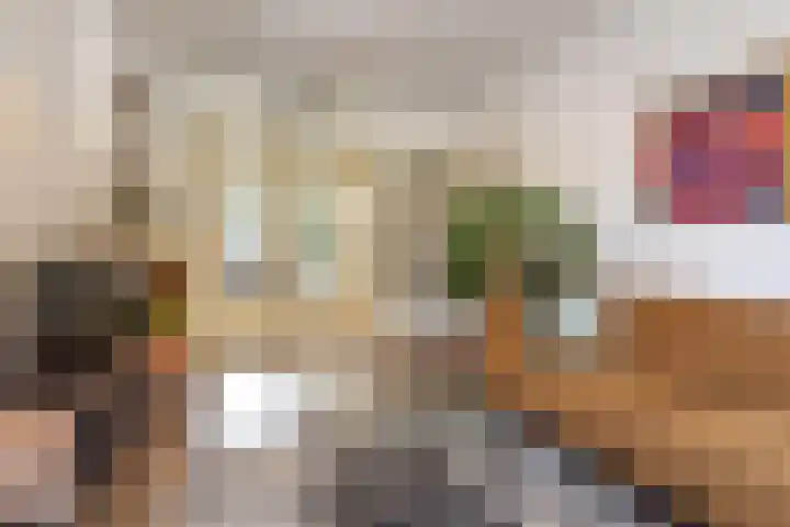 Frans Halskade 189 Rijswijk thumbnail 8